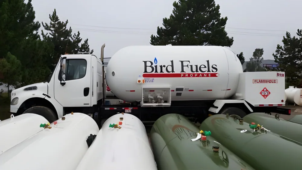 Bird Fuels website image