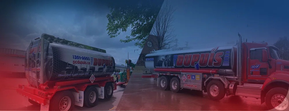 PC Dupuis website image